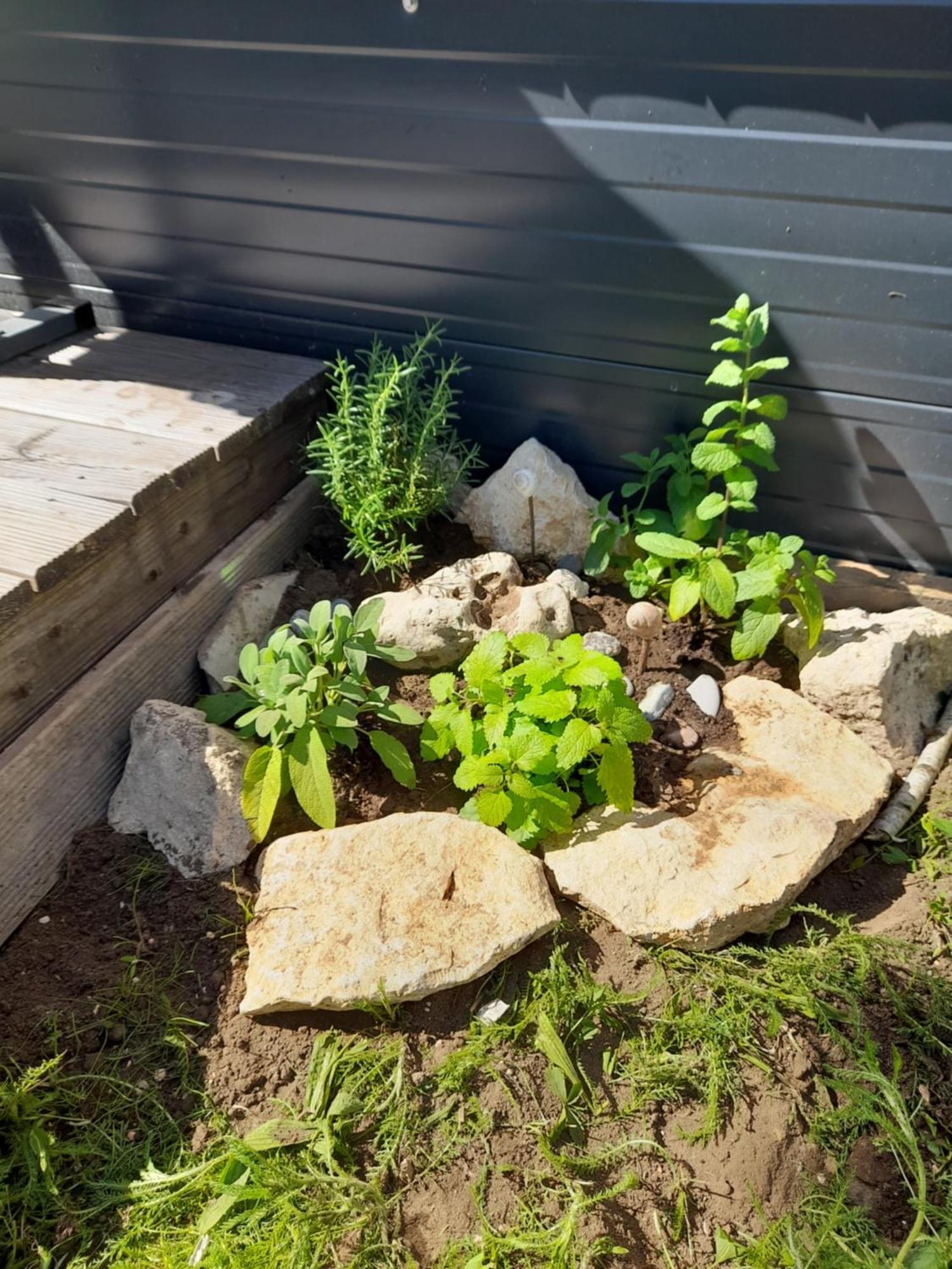 Vila Tinyhouse Wemding Exteriér fotografie